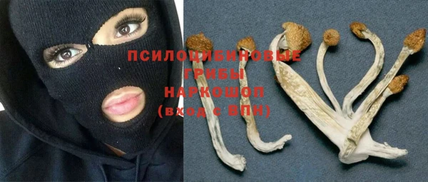 Альфа ПВП Нягань