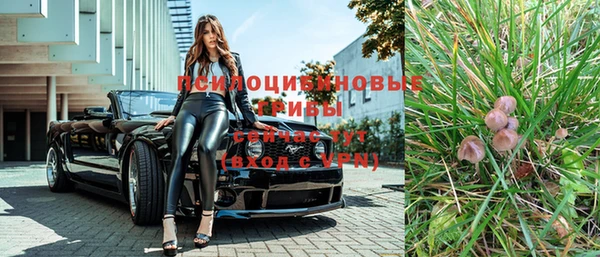 Альфа ПВП Нягань