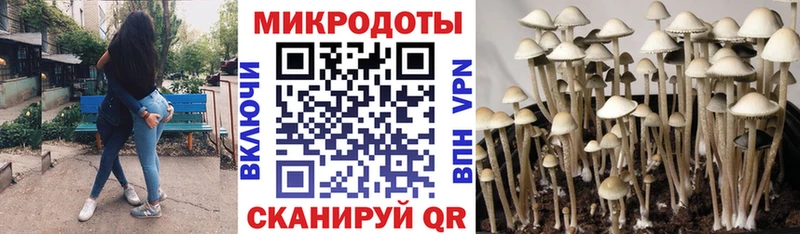 Галлюциногенные грибы GOLDEN TEACHER  Яблоновский 
